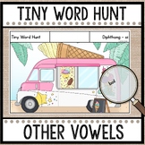 Tiny Word Hunt I SPY Other Vowels - Diphthongs  | Decodable 