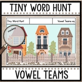 Tiny Word Hunt I SPY Vowel Teams  | Decodable 