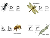 Tiny abc Sound and Print Insect Book