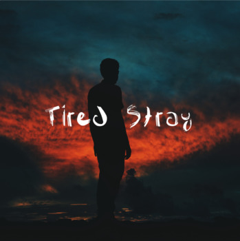 Preview of Tired Stray: Personal Narrative & Song on Migration, Place, & Homesickness