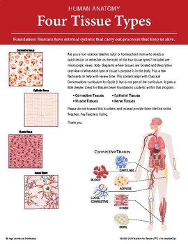 Preview of Human Anatomy: Tissue Types