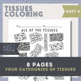 Tissues Coloring Pages- Anatomy Unit 4 The Integumentary System