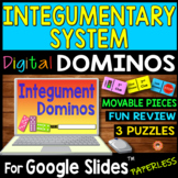 Integumentary System DIGITAL DOMINOS for Google Slides