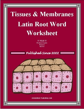 Preview of Tissues & Membranes Latin Root Word Worksheet
