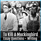 To Kill A Mocking Bird Essay and Questions Expository Writ