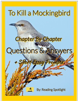 Preview of To Kill A Mockingbird: Chapter By Chapter Questions and Answers