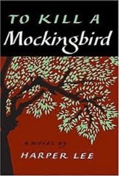 Preview of To Kill A Mockingbird Student Action