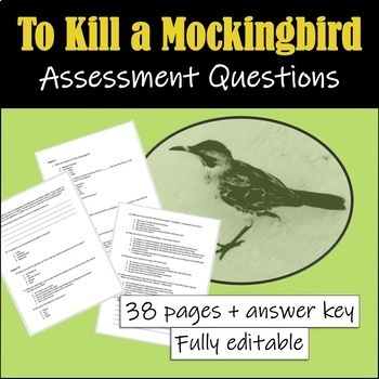 Preview of To Kill a Mockingbird: Assessment Questions (Reading Comprehension)