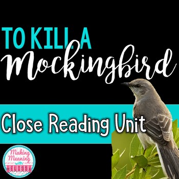 Preview of To Kill a Mockingbird CLOSE READING PASSAGES - UPDATED