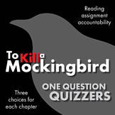 To Kill a Mockingbird, Reading Accountability with Chapter