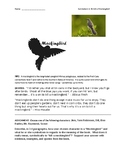 To Kill a Mockingbird:  Mockingbird Symbol Prompt