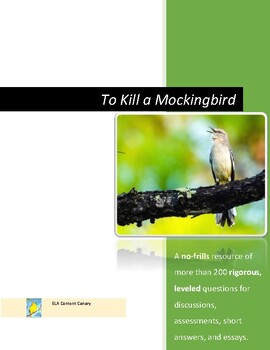 Preview of To Kill a Mockingbird Comprehension Questions by Chapter! Full Novel Study!⭐