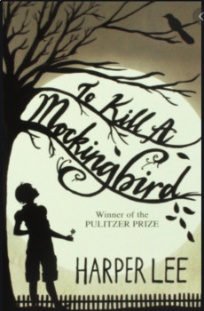 Preview of To Kill a Mockingbird Zoom Scavenger Hunt Distance Learning