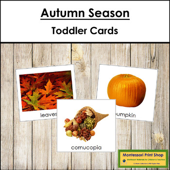 Autumn Season Cards - Montessori Toddler Cards (vocabulary) | TPT