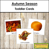 Autumn Season Cards - Montessori Toddler Cards (vocabulary)