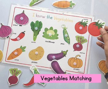Toddler Learning Binder Activity, Fruits and Vegetables Sorting and ...