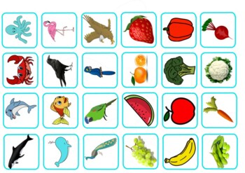 Toddler Learning Velcro Charts for Fruits, Vegetables, Birds and Aquatic  animals