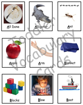 Preview of Toddler Vocabulary Development Flashcards (200+)