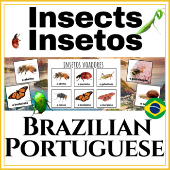 Preview of Toddler's First Portuguese Learning Binder: Bugs / Insetos | Montessori