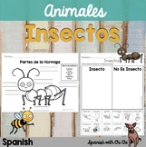 Todo Sobre Insectos | Hormigas | Abejas | All About Insect