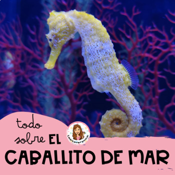 Preview of Todo sobre el CABALLITO DE MAR / All about the SEAHORSE. Spanish. Worksheets
