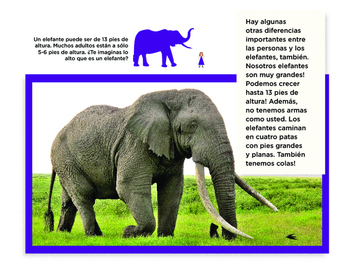 Todo sobre elefantes libro de non-ficcion All About Elephants Spanish