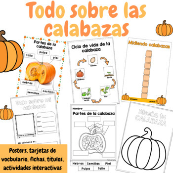 Preview of Todo sobre las calabazas - Área de ciencias - Ed. Infantil y Primaria