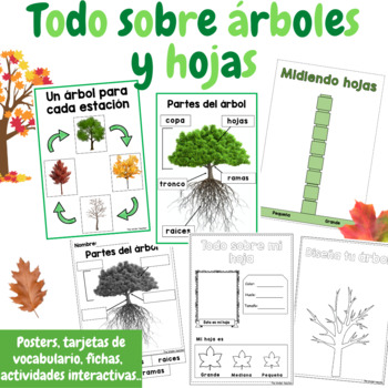 Todo sobre las hojas y árboles - Área de ciencias - Ed. Infantil y Primaria