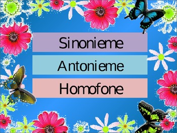 Preview of Toets my kennis van sinonieme, antonieme, homofone
