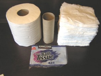 Preview of Toilet Paper Geometry Project - Surface Area and Volume