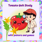 Tomato Unit Study Parts and Life Cycle of Tomato