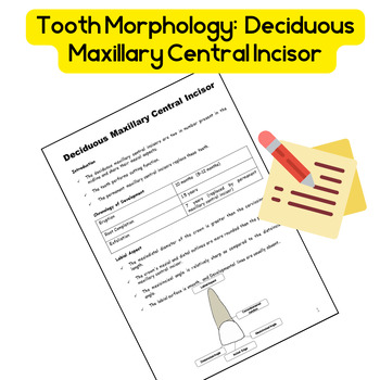 Preview of Tooth Morphology: Deciduous Maxillary Central Incisor Morphology Notes