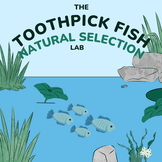 Toothpick Fish - Investigation into Natural Selection