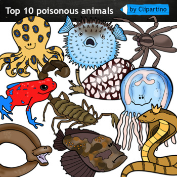 Poisonous Animals clipart /Venomous Clipart /Frog /Snake /Scorpion /Spider