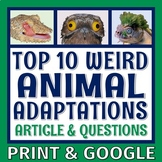 Top 10 Weirdest Animal Adaptations Reading and Questions