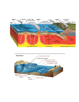 Preview of Topography of the Ocean Floor Earth Science Project