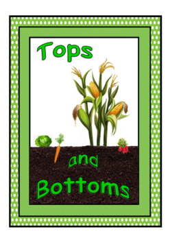 Preview of Tops & Bottoms Reading Comprehension