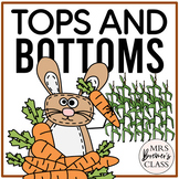 Tops and Bottoms | Book Study Activities
