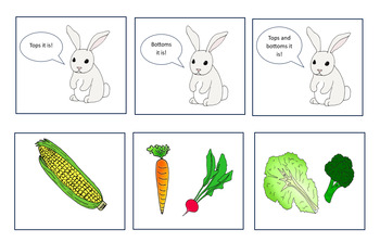 Preview of Tops and Bottoms Spring Book Sequencing Worksheet