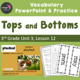 Tops and Bottoms Vocabulary PowerPoint  - Aligned w/ Journeys