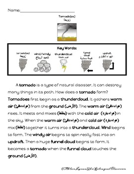 Preview of Tornado Passage with Questions and Sequencing ESL ARABIC and ENGLISH