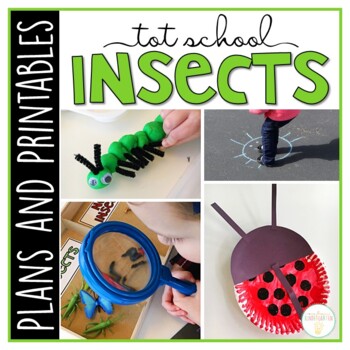 Preview of Tot School: Insects {Plans and Printables}