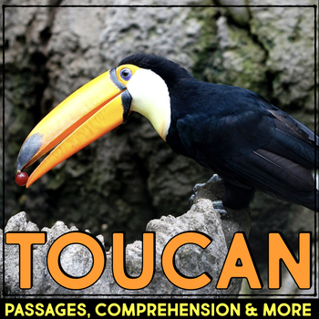 Preview of Toucan Animal Research Nonfiction Reading Passage & Comprehension Activities