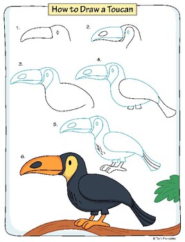 How To Draw A Toucan Step By Step Easy