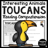 Toucans Informational Text Reading Comprehension Worksheet