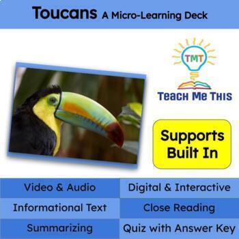 Preview of Toucans Informational Text Reading Passage and Activities