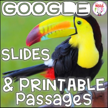 Preview of Toucans NONFICTION GOOGLE and PRINTABLE Passages and Writing Activities