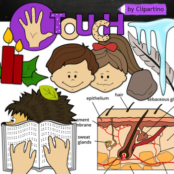Preview of Touch Clip art /Touch Five Senses Clip Art/ Science Clip Art/ My body