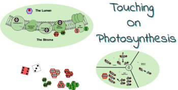 Preview of Photosynthesis Review - Touching On Photosynthesis - An Interactive Board Game