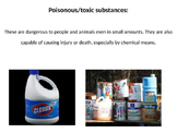 Toxic Substances PowerPoint with Scaffolded Notes Sheet